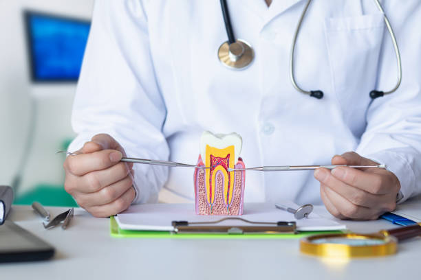 Best Emergency TMJ Treatment in Thorp, WI